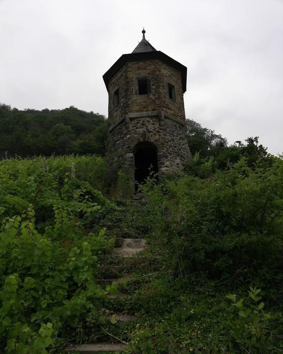 Weinhaus Domstein